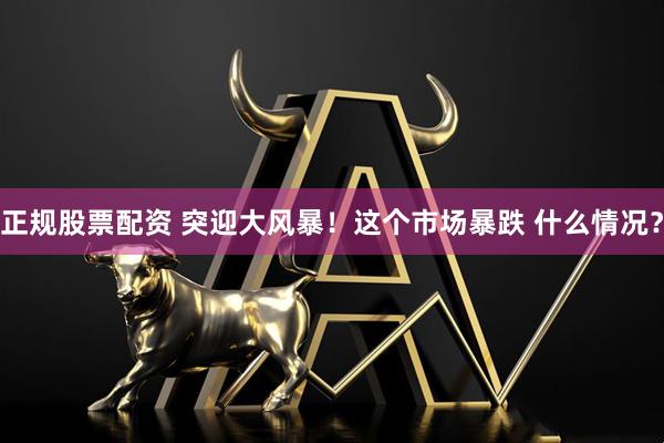 正规股票配资 突迎大风暴！这个市场暴跌 什么情况？