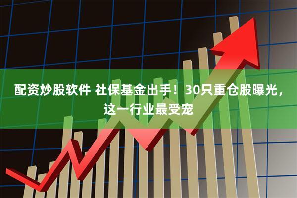 配资炒股软件 社保基金出手！30只重仓股曝光，这一行业最受宠